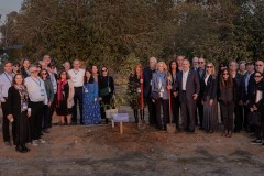 Tree Planting